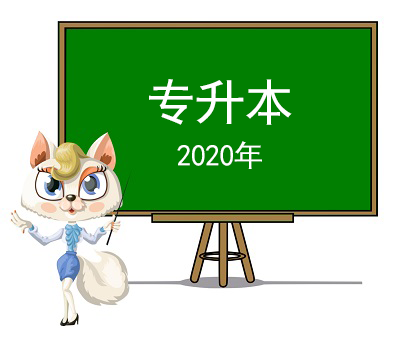 2020年专升本全科目视频